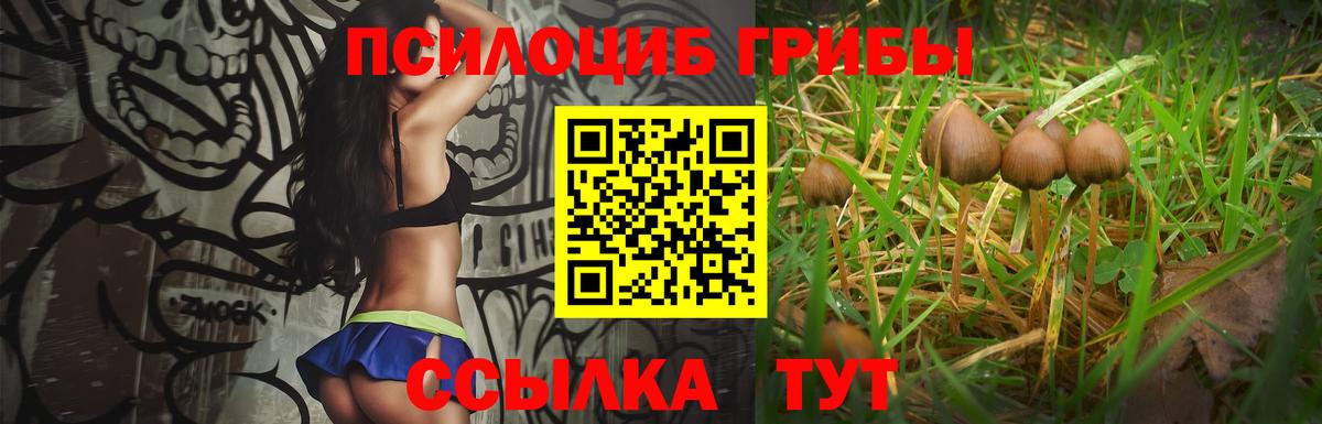 Галлюциногенные грибы MAGIC MUSHROOMS Заводоуковск